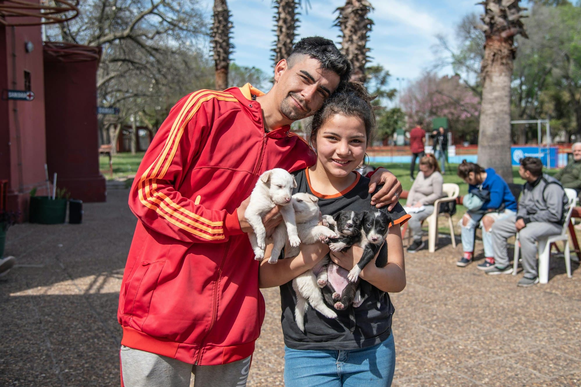 Community helping animals