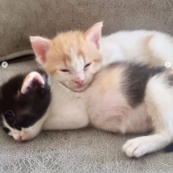 Foto de Iris y Noa